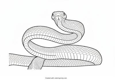 A coloring page of snake