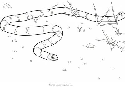 A coloring page of snake