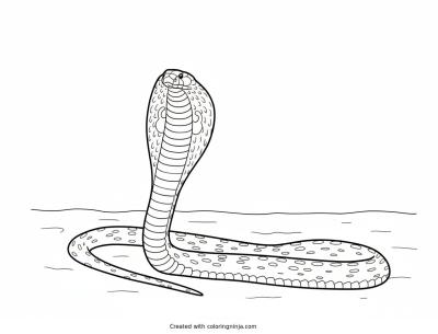 A coloring page of snake
