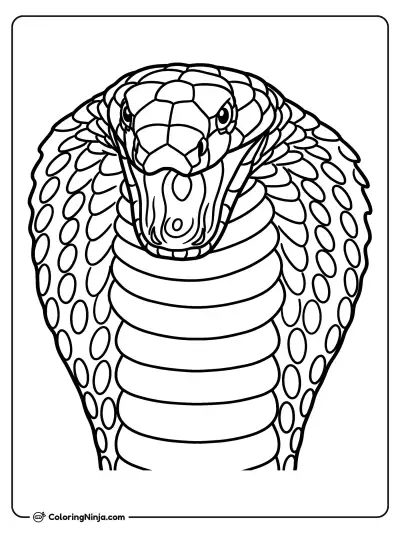Retrato de frente de una serpiente cobra