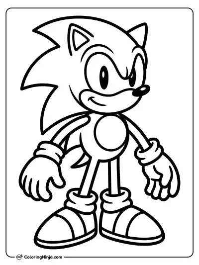 Sonic the Hedgehog de cuerpo entero