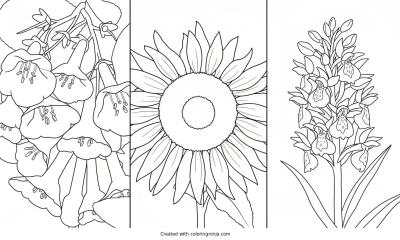 A coloring page of Spring