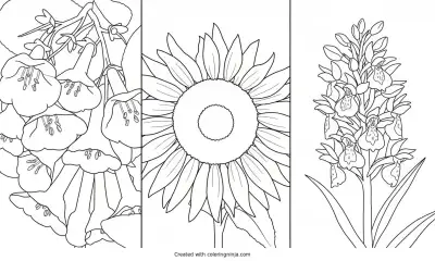 A coloring page of Spring