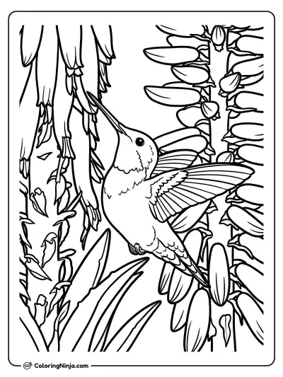 Colibrí de primavera junto a flores de aloe