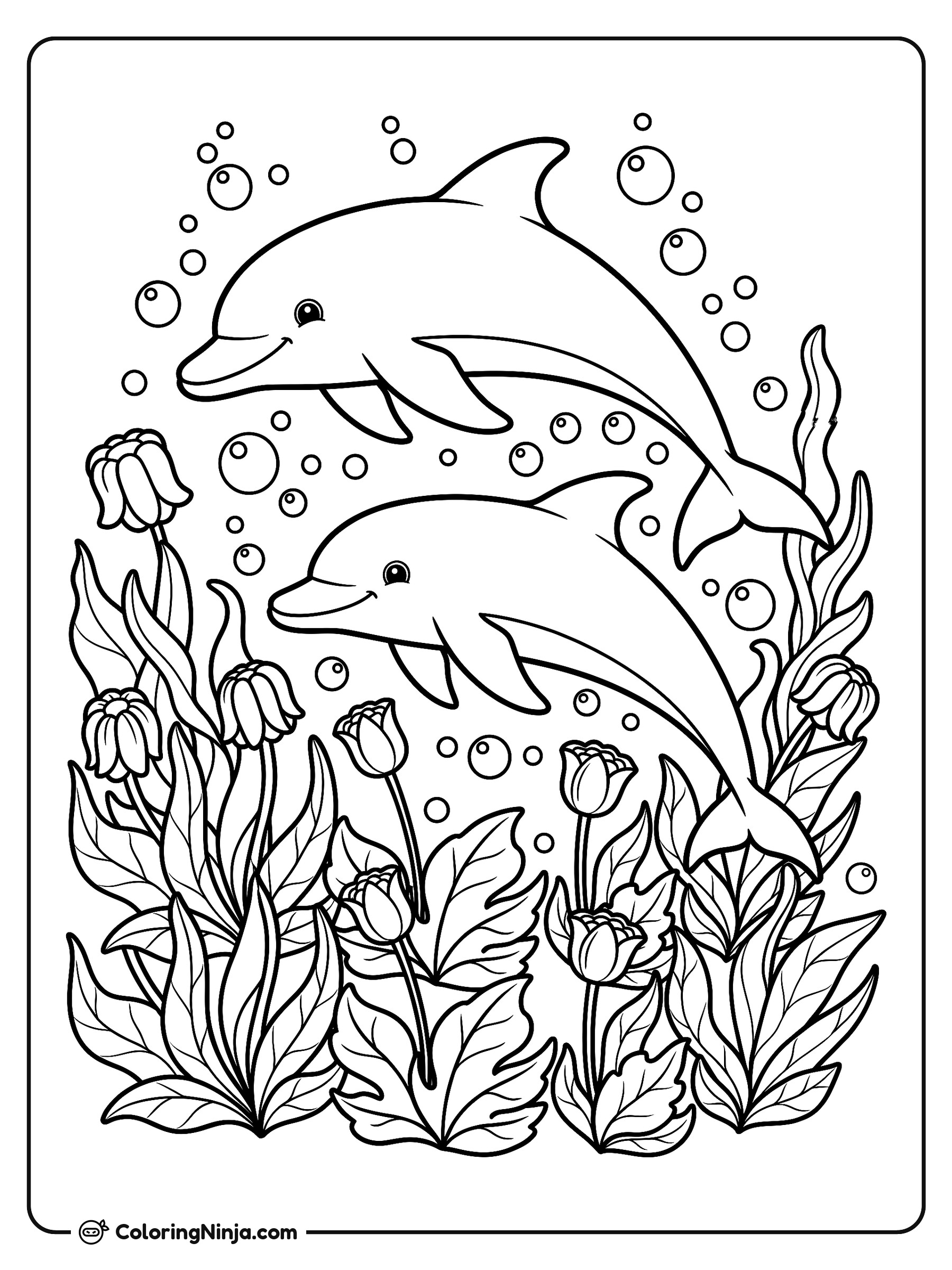 Delfines amigables nadando juntos: dibujo para colorear