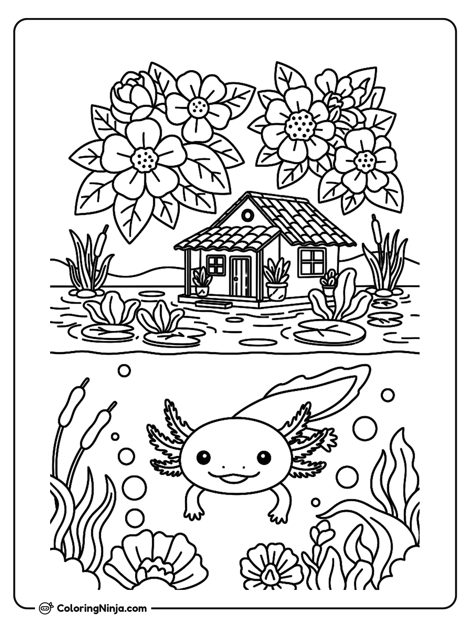 Ajolote en el Jardín Acuático de Xochimilco: dibujo para colorear