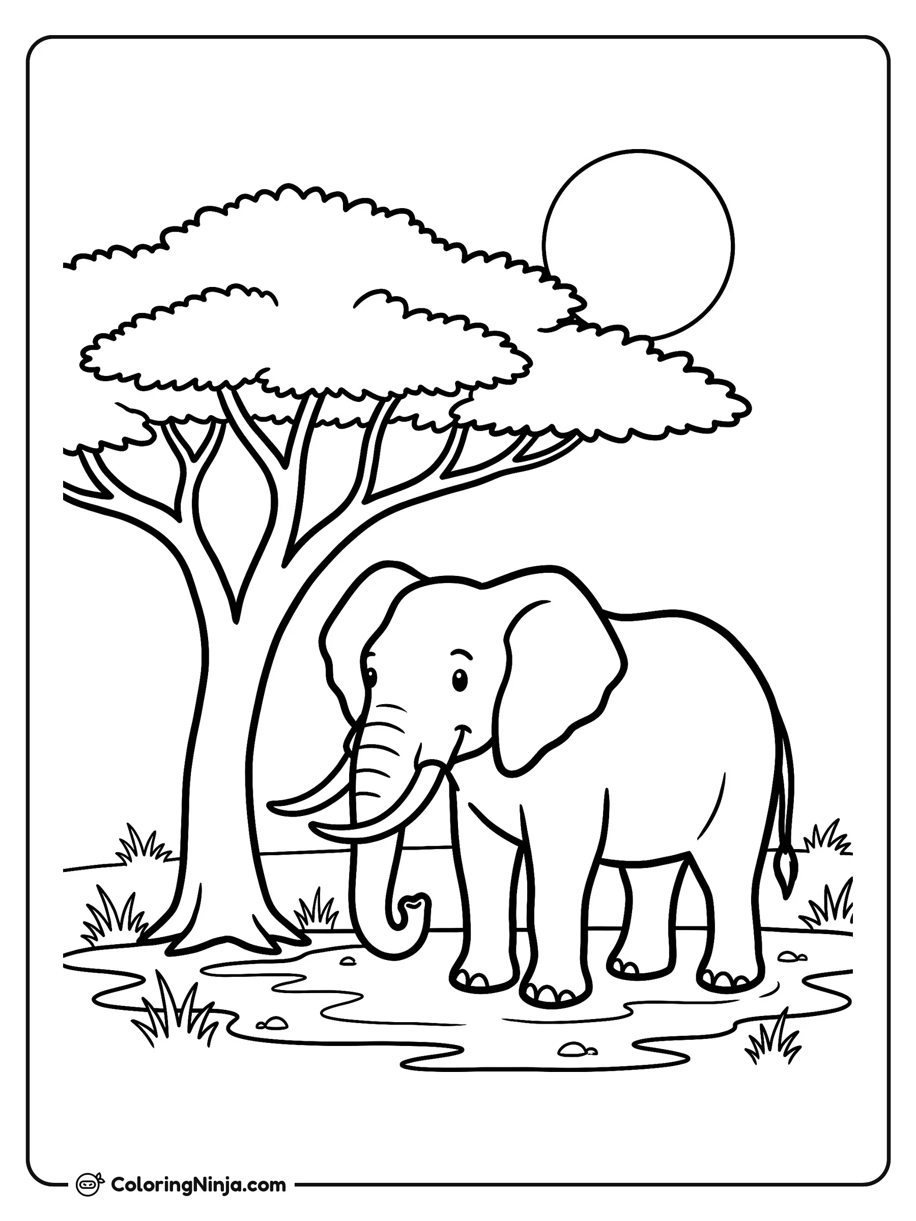 Gigante amigable en la sabana, dibujo para colorear: Un simpático elefante se encuentra junto a un pequeño charco cerca de una gran acacia bajo el sol brillante. La escena muestra un paisaje tranquilo lleno de vegetación y tranquilidad.