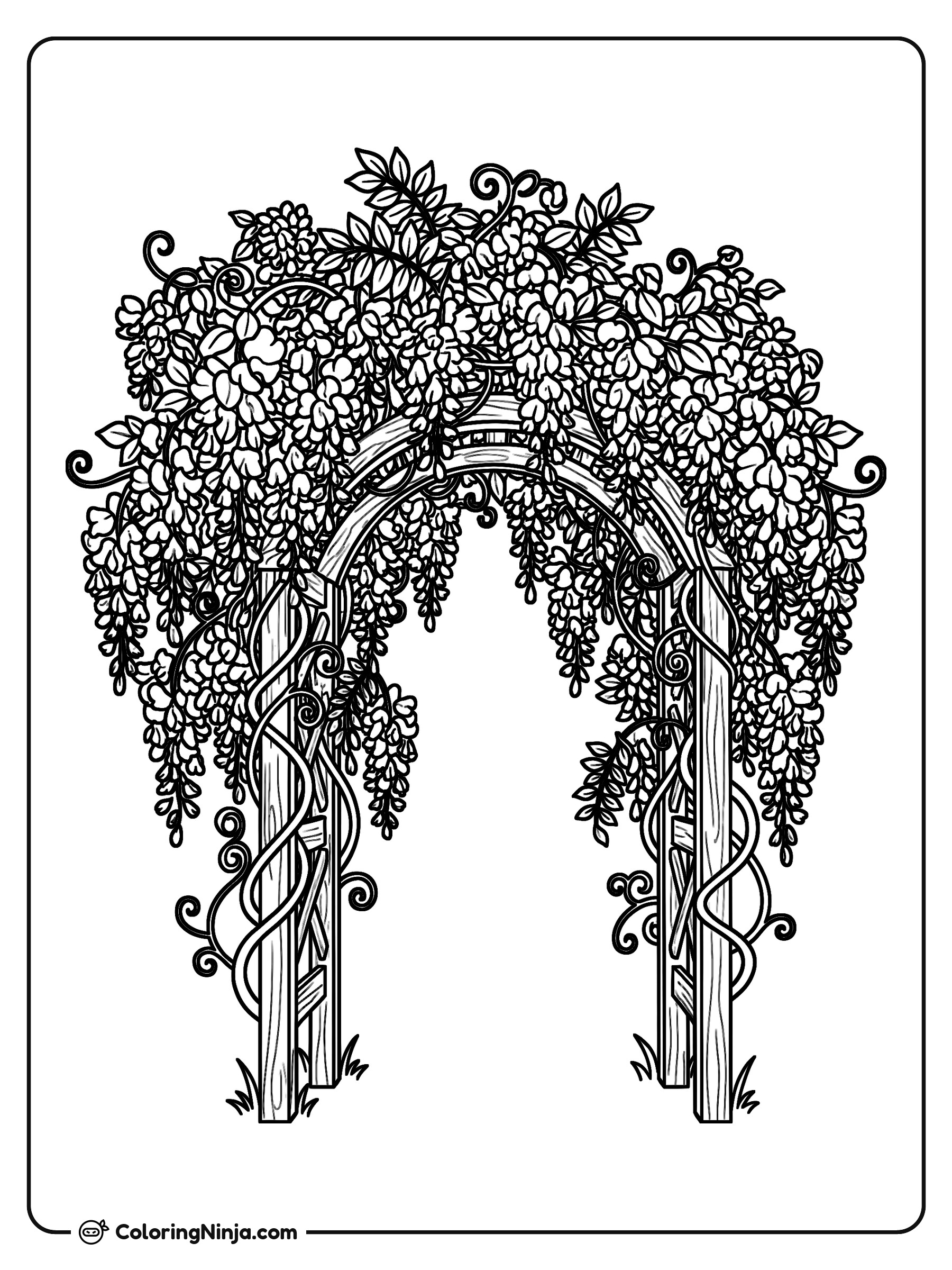 Hermoso arco de flores de glicinia: dibujo para colorear