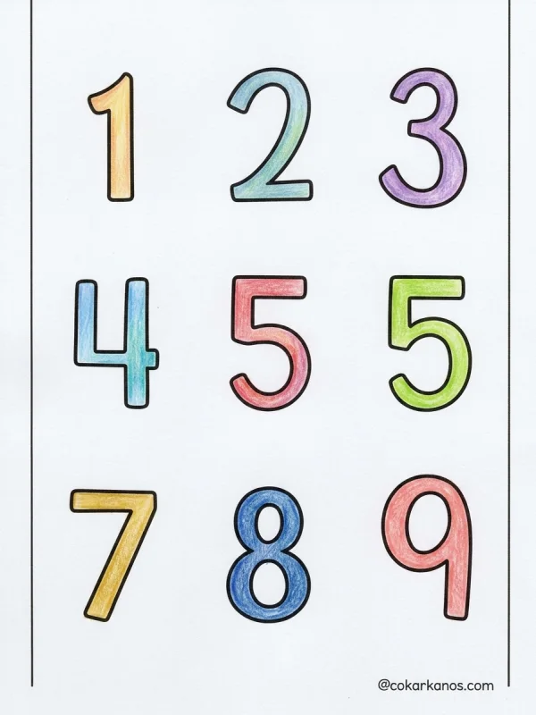 Numbers coloring page colored in with pencils